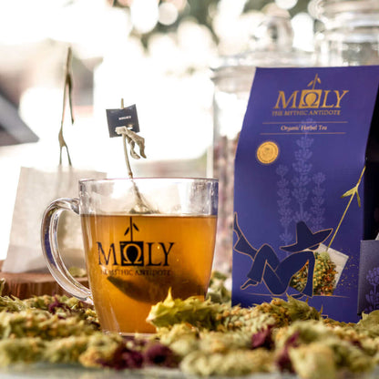 Night Cup Bio – Aromatische Bio-Kräuterteemischung | MOLY